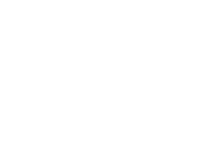 Gurtner_Huhn_Icon_deutsch_weiss